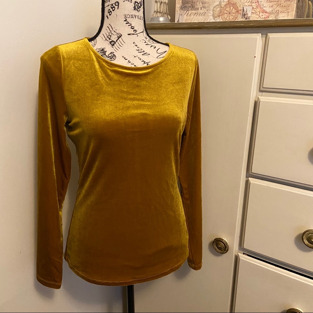 Velvet Boden Top